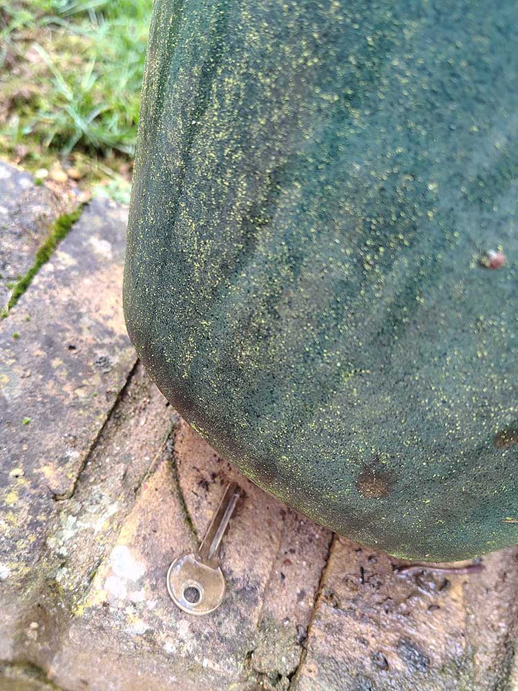 Avoid hiding a key under a plant pot